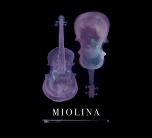 Miolina's Album Release photo