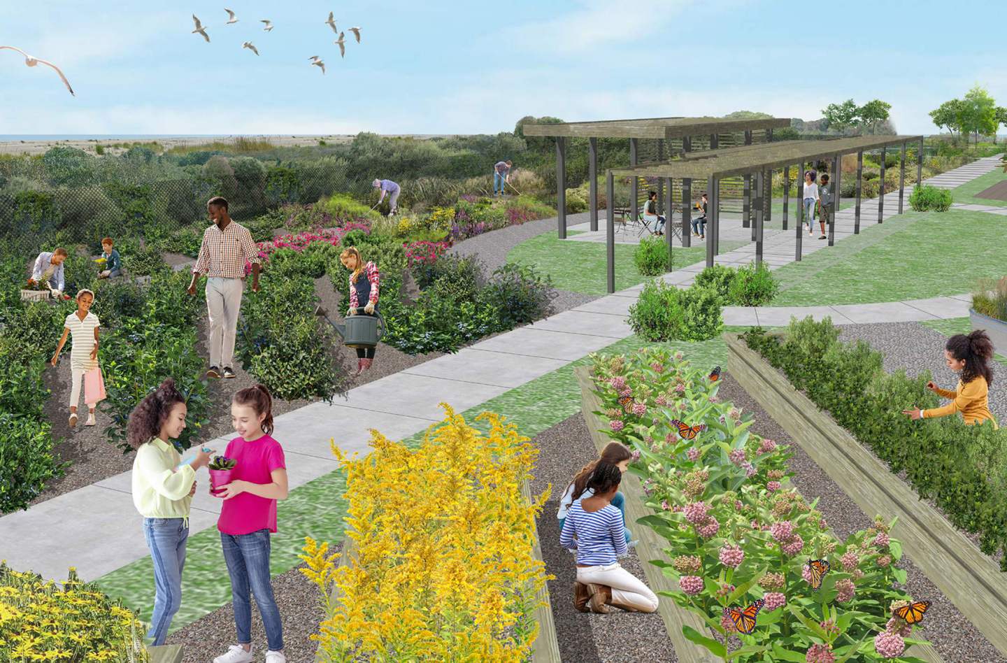 Arverne East Native Plant Nursery preview