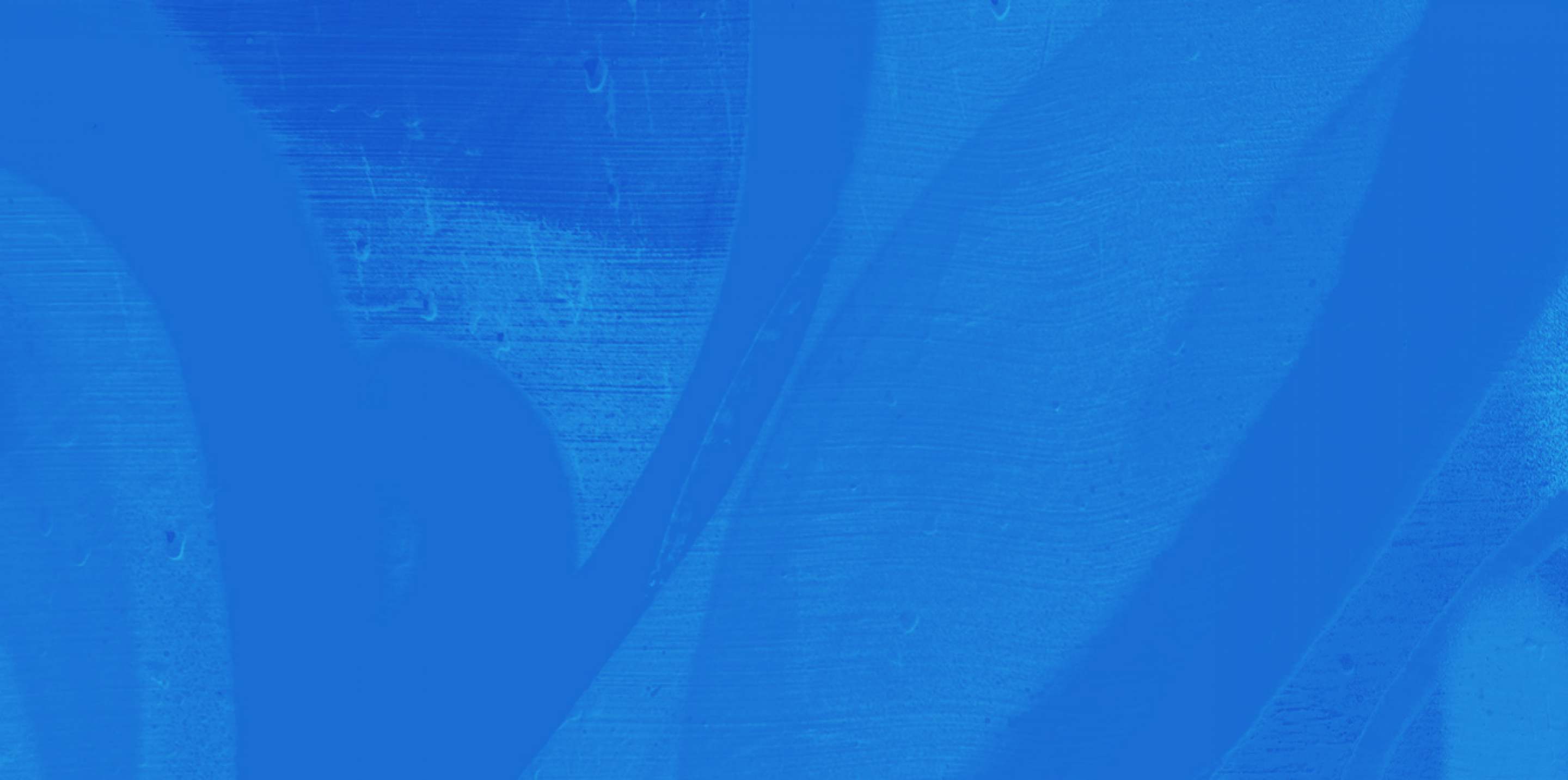 banner background photo